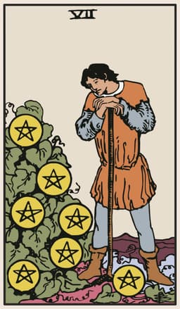 Seven_of_Pentacles